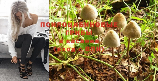 стафф Аркадак