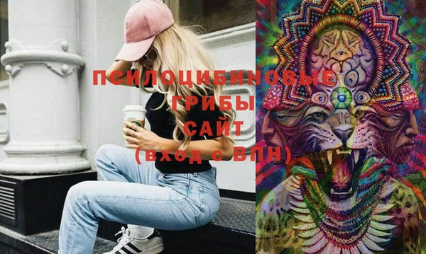2c-b Пересвет