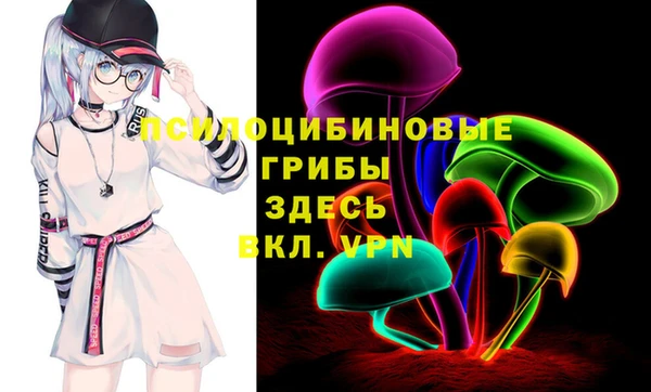 spice Абаза