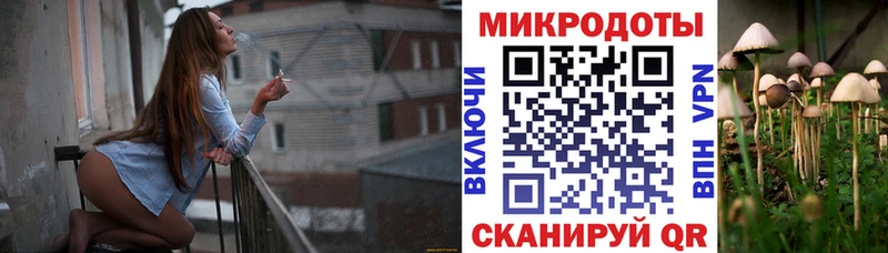 Псилоцибиновые грибы Psilocybine cubensis  Шахунья 